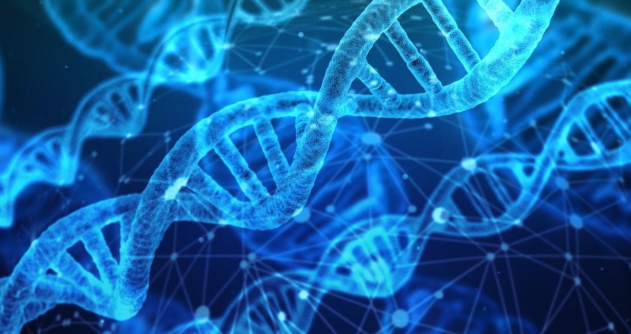 DNA - Biologia - Ereditarietà genetica - Genetica