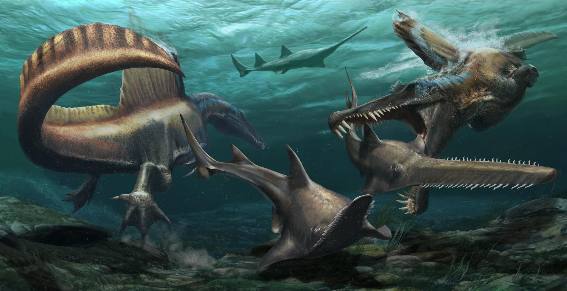 spinosaurus coda fossile tail april 2020