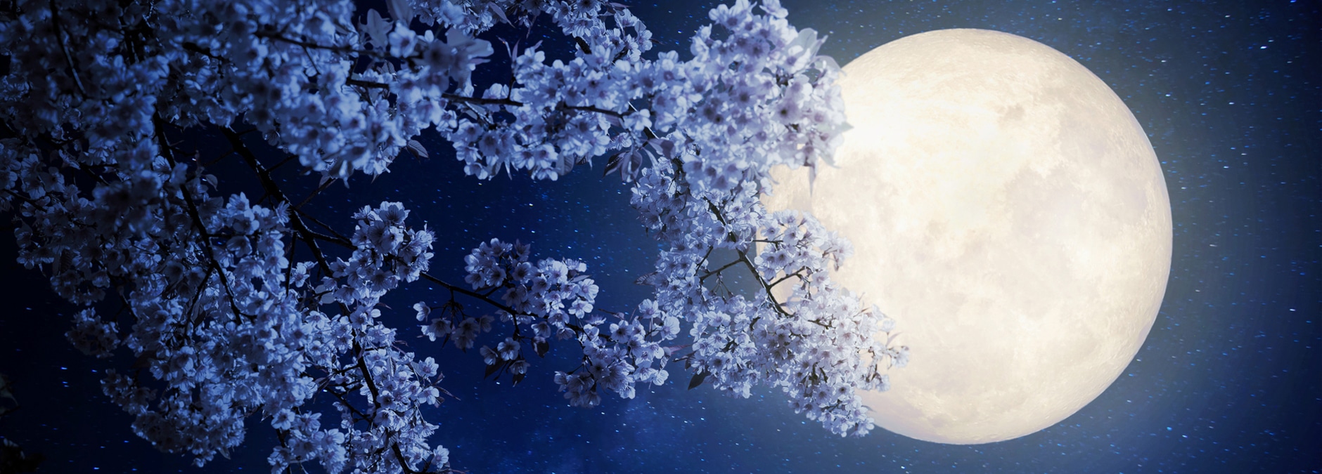 maggio 2020 superluna luna dei fiori flower moon zed news