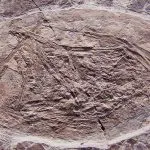 La NASA investe in prototipi finalizzati ad esplorare i crateri lunari ed asteroidi minerari