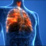 La dieta nella menopausa di Liz Earle con suggerimenti e trucchi per aiutare la tua salute e il tuo benessere