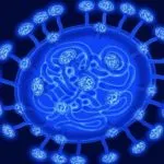 La diffusione del coronavirus cinese sta accelerando, avverte Xi Jinping