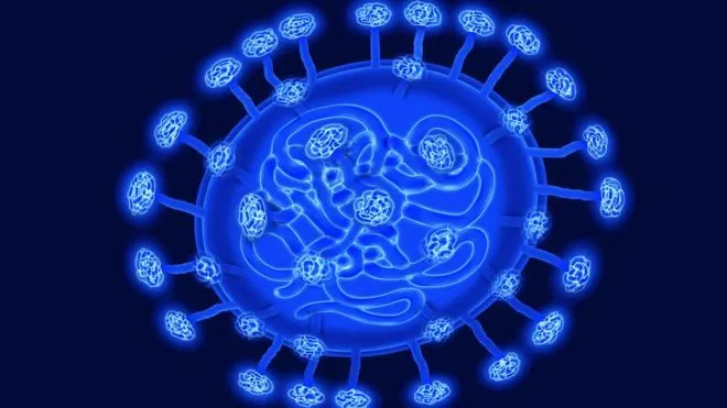coronavirus cina