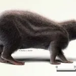 Come vivere più a lungo: fai questi esercizi ogni settimana per aumentare l’aspettativa di vita