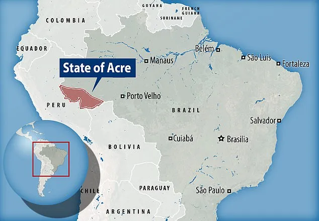 I teschi di due individui sono stati trovati in un sito fossile ad Acre nell'Amazzonia brasiliana occidentale. Uno era quasi completo e l'altro includeva un frammento di crania, la parte che racchiude il cervello
