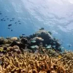 Queste sono le immagini più nitide del Sole mai viste
