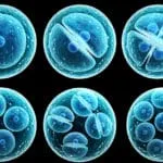 Cosa fare e cosa non fare nelle videoconferenze online