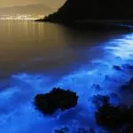 I satelliti Starlink di SpaceX riceveranno presto “ombrelloni antiriflesso”, afferma Elon Musk