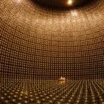 Coronavirus: puntare i riflettori sul commercio mondiale di specie selvatiche