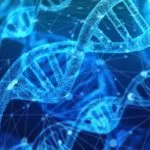 Intelligenza artificiale: I ricercatori addestrano l’IA per rilevare i bot di Twitter