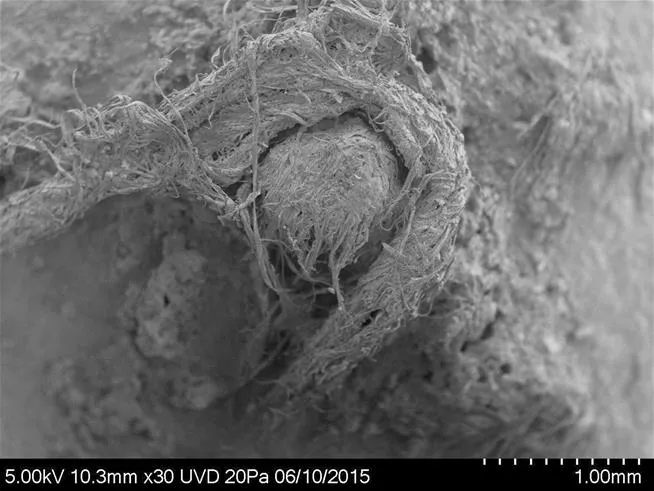 Abri du Maras Neanderthal