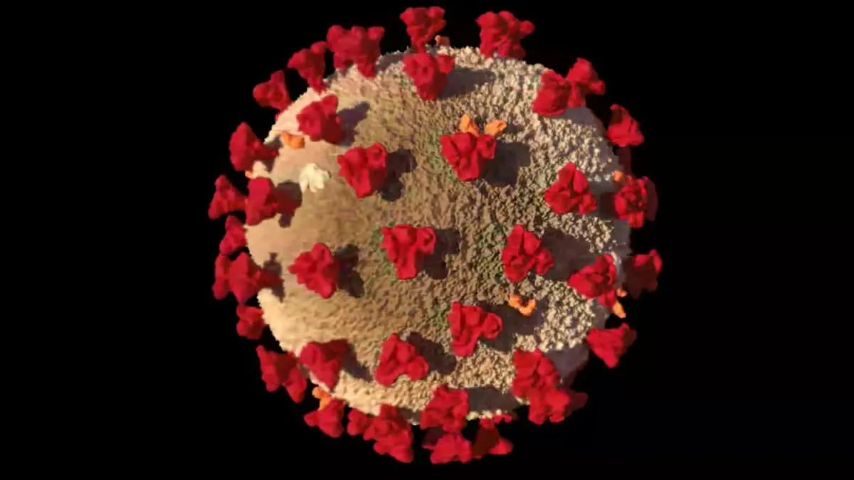sintomi del coronavirus, sintomi di coronavirus, sintomi virus coronavirus, sintomi corona, corona, virus corona, sintomi corona virus, corona virus sintomi, coronavirus italia sintomi, coronavirus italia, il coronavirus sintomi, sintomi coronavirus febbre, primi sintomi coronavirus, i sintomi del coronavirus, sintomi da coronavirus, coronavirus senza sintomi, sintomi coronavirus senza febbre, quali sono i sintomi coronavirus, rinorrea, polmonite sintomi, rinorrea sintomi, sintomi coronavirus 2020, sintomi polmonite coronavirus, sintomi del coronavirus quali sono, quali i sintomi del coronavirus, sintomi del coronavirus, sintomi di coronavirus, sintomi virus coronavirus, sintomi corona, corona, virus corona, sintomi corona virus, corona virus sintomi, coronavirus italia sintomi, coronavirus italia, sintomi coronavirus febbre, primi sintomi coronavirus, i sintomi del coronavirus, coronavirus senza sintomi, sintomi coronavirus senza febbre, quali sono i sintomi coronavirus, rinorrea, polmonite sintomi, rinorrea sintomi, sintomi coronavirus 2020, sintomi polmonite coronavirus, sintomi del coronavirus quali sono, quali i sintomi del coronavirus, quali sono i sintomi del coronavirus, coronavirus bambini