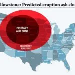 Coronavirus: puntare i riflettori sul commercio mondiale di specie selvatiche