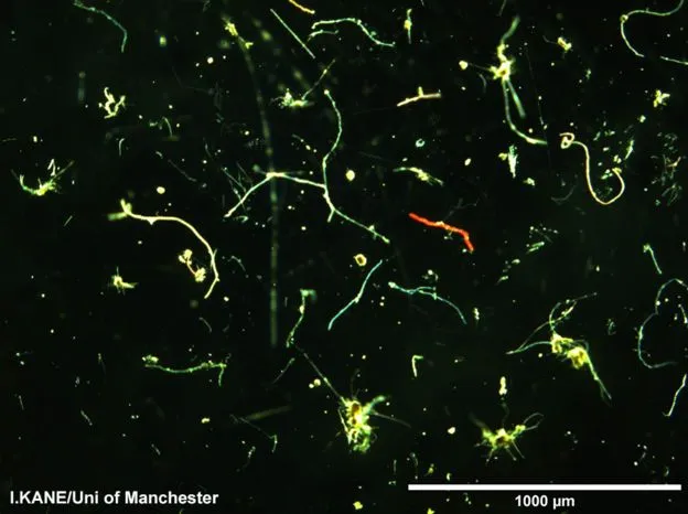correnti di torbidità,cosa sono le microplastiche,depositi alla deriva,elda miramontes,florian pohl,ian kane,inquinamento della plastica nel mare,italia,la plastica nel mare,mare di plastica,mediterraneo,microplastiche italia,microplastiche nel mar mediterraneo,microplastiche nel mare,microplastiche nel mediterraneo,plastica in mare,plastica in mare dati,plastica mare italia,plastica nel mare,plastica nel mare dati,roland geyer,università di manchester