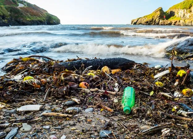 correnti di torbidità,cosa sono le microplastiche,depositi alla deriva,elda miramontes,florian pohl,ian kane,inquinamento della plastica nel mare,italia,la plastica nel mare,mare di plastica,mediterraneo,microplastiche italia,microplastiche nel mar mediterraneo,microplastiche nel mare,microplastiche nel mediterraneo,plastica in mare,plastica in mare dati,plastica mare italia,plastica nel mare,plastica nel mare dati,roland geyer,università di manchester