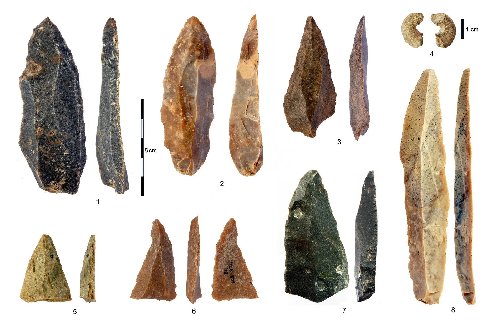 amigdale,arpione paleolitico,australopiteco,bacho-kiro,cosa significa paleolitico,cro magnon,eurasia,heidelbergensis,homo,homo di cro magnon,homo di neanderthal,homo erectus,homo ergaster,homo habilis,homo neanderthal,homo sapiens,homo sapiens bulgaria,homo sapiens sapiens,homo sapiens scuola primaria,homo sapiens ultime scoperte,il neolitico,il paleolitico,il paleolitico scuola primaria,iud,iup,l uomo di neanderthal,mesolitico,neandertal,neanderthal,neanderthal dove si trova,neanderthal e sapiens,neanderthal sapiens,neanderthal ultime scoperte,nel paleolitico si sviluppò soprattutto quella rupestre,neolitico,neolitico periodo,neolitico scuola primaria,ominidi,paleolitico,paleolitico e neolitico,paleolitico neolitico,paleolitico periodo,paleolitico scuola primaria,paleolitico significato,paleolitico superiore iniziale,pietra usata nel paleolitico,preistoria,preistoria significato,raschiatoio,raschiatoio paleolitico,rupestre,sapiens,sapiens sapiens,scimmie antropomorfe,uomo del paleolitico,uomo di neandertal,uomo di neanderthal,uomo di neanderthal e sapiens,uomo di neanderthal scuola primaria,uomo erectus,uomo neanderthal,uomo paleolitico,uomo sapiens