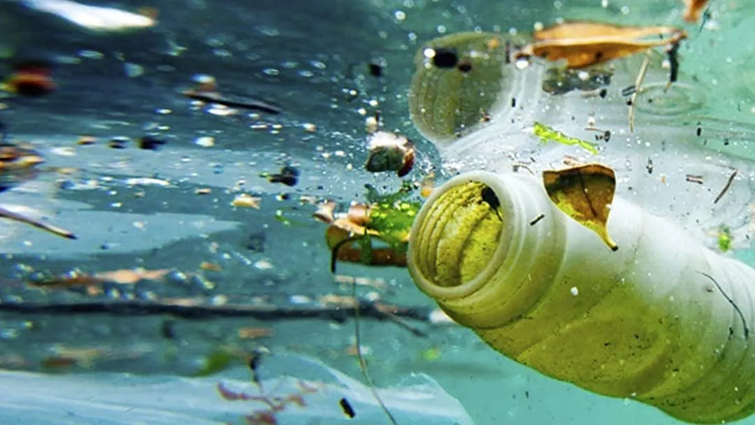 correnti di torbidità,cosa sono le microplastiche,depositi alla deriva,elda miramontes,florian pohl,ian kane,inquinamento della plastica nel mare,italia,la plastica nel mare,mare di plastica,mediterraneo,microplastiche italia,microplastiche nel mar mediterraneo,microplastiche nel mare,microplastiche nel mediterraneo,plastica in mare,plastica in mare dati,plastica mare italia,plastica nel mare,plastica nel mare dati,roland geyer,università di manchester