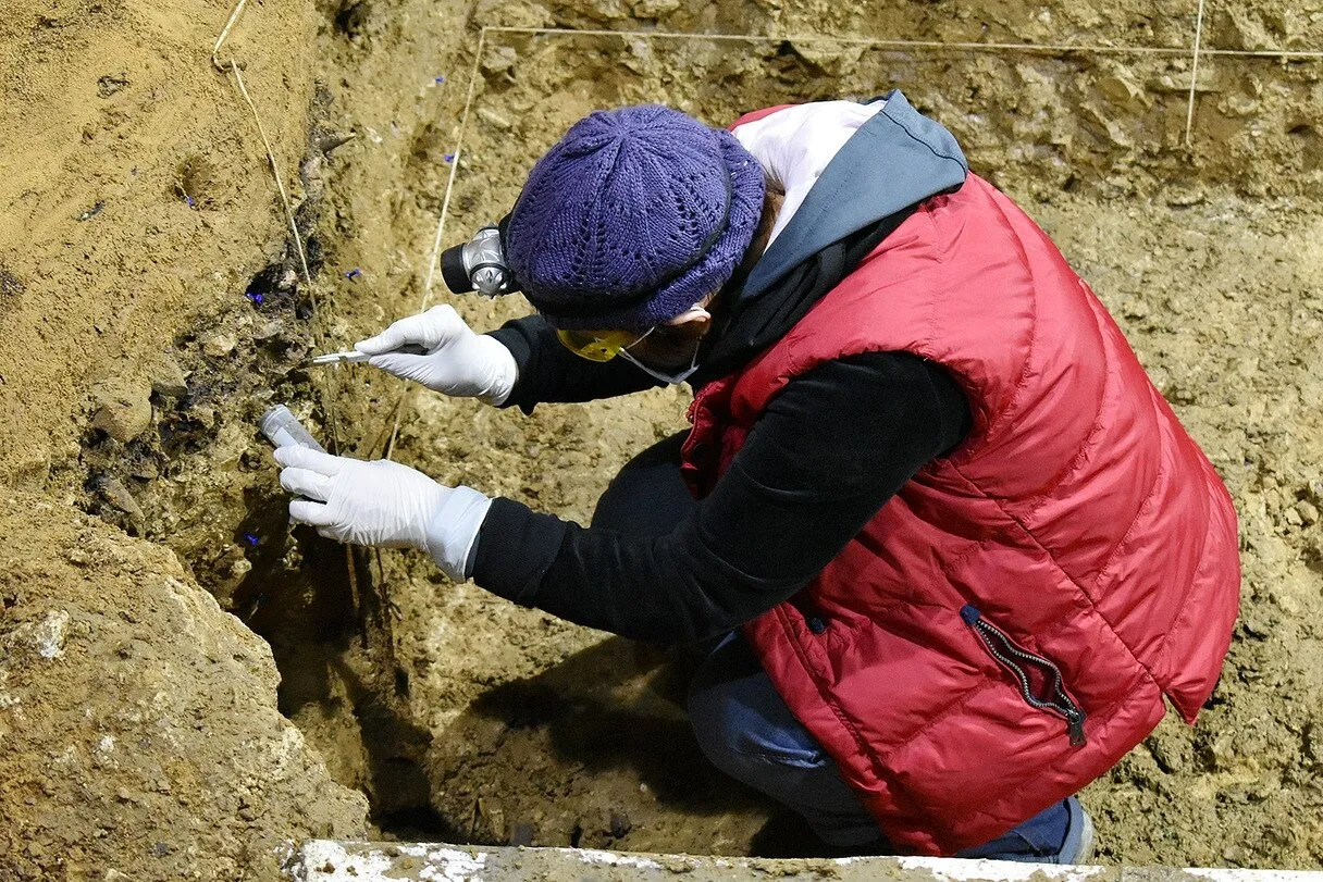 amigdale,arpione paleolitico,australopiteco,bacho-kiro,cosa significa paleolitico,cro magnon,eurasia,heidelbergensis,homo,homo di cro magnon,homo di neanderthal,homo erectus,homo ergaster,homo habilis,homo neanderthal,homo sapiens,homo sapiens bulgaria,homo sapiens sapiens,homo sapiens scuola primaria,homo sapiens ultime scoperte,il neolitico,il paleolitico,il paleolitico scuola primaria,iud,iup,l uomo di neanderthal,mesolitico,neandertal,neanderthal,neanderthal dove si trova,neanderthal e sapiens,neanderthal sapiens,neanderthal ultime scoperte,nel paleolitico si sviluppò soprattutto quella rupestre,neolitico,neolitico periodo,neolitico scuola primaria,ominidi,paleolitico,paleolitico e neolitico,paleolitico neolitico,paleolitico periodo,paleolitico scuola primaria,paleolitico significato,paleolitico superiore iniziale,pietra usata nel paleolitico,preistoria,preistoria significato,raschiatoio,raschiatoio paleolitico,rupestre,sapiens,sapiens sapiens,scimmie antropomorfe,uomo del paleolitico,uomo di neandertal,uomo di neanderthal,uomo di neanderthal e sapiens,uomo di neanderthal scuola primaria,uomo erectus,uomo neanderthal,uomo paleolitico,uomo sapiens