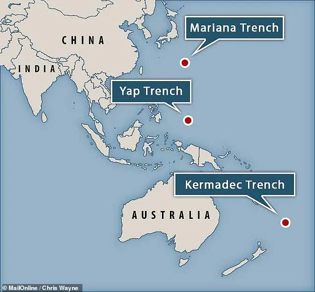 ambiente,articolo 9 costituzione tutela ambiente,conduttore di terra,contatore elettrico,fossa delle marianne,fossa delle marianne animali,fossa delle marianne pesci,fossa delle marianne profondità,fossa delle marianne video,fossa di kermadec,foto inquinamento ambientale,inquinamento ambientale,inquinamento degli oceani,inquinamento mercurio,inquinamento oceani,inquinamento oceani e mari,inquinamento oceani focus,joel blum,kelly walsh,lampadine a risparmio energetico,mercurio inquinamento acque,mercurio mare,mercurio negli oceani,mercurio nel mare perche,notizie ambiente 2020,notizie ambiente ecologia,notizie ambiente inquinamento,oceani del mondo,oceani mondo,problema ambientale,quante lettere ci sono nell'alfabeto,quanti continenti ci sono nel mondo,ringwoodite,sistema terra,sugli,sviluppo sostenibile definizione