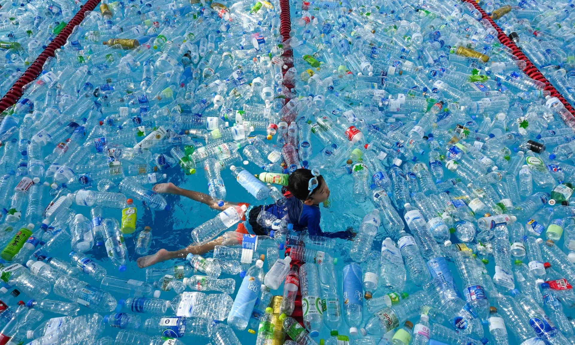 zednews.it,alice horton,ambiente notizie 2020,ambiente notizie oggi,inquinamento della plastica nel mare,la plastica nel mare,notizie ambiente ecologia,notizie ambiente inquinamento,plastica in mare dati,plastica in mare foto,plastica in mare inquinamento,plastica in mare ogni anno,plastica in mare soluzioni,plastica nel mare,plastica oceani,plastica oceano,plastica oceano atlantico,plastica oceano indiano,plastica oceano isola,plastica oceano pacifico