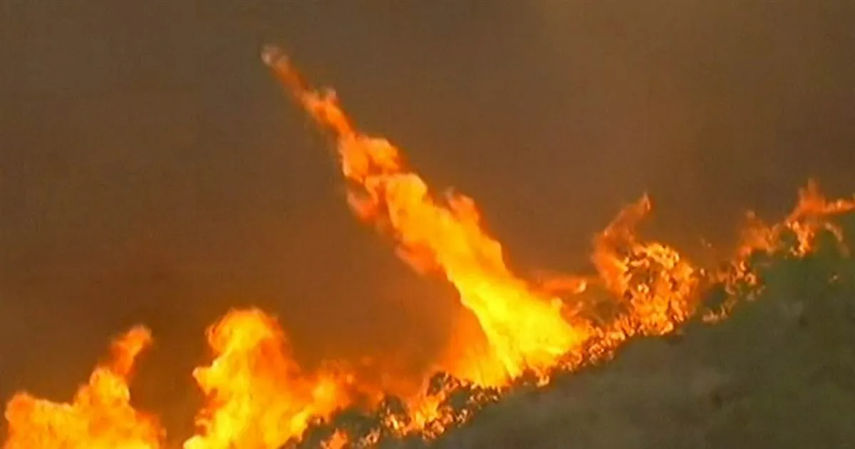 donald trump,donald trump brother,edward snowden,elizabeth debicki,elvis,festa porto rotondo covid,fire tornado,firenado,firenado california,lene marlin,piro cumulonembo,robert trump cause of death,siviglia,sonya deville,tornado di fuoco,trump's brother