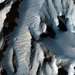 Una ricerca spiega perché i coccodrilli sono cambiati così poco dall’età dei dinosauri