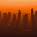 Una ricerca spiega perché i coccodrilli sono cambiati così poco dall’età dei dinosauri