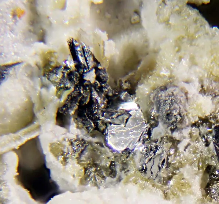 zinco, polmone,AEC2, aec2 cells, cellule epiteliali alveolari, cellule epiteliali alveoli, fibrosi polmonare, fibrosi polmonare idiopatica, fibrosi polmonare idiopatica cause, fibrosi polmonare idiopatica nuove terapie, fibrosi polmonare idiopatica sintomi, fibrosi polmonare idiopatica terapia, fibrosi polmonare zinco, FPI, idiopathic pulmonary fibrosis, idiopathic pulmonary fibrosis therapy, idiopathic pulmonary fibrosis treatment, idiopathic pulmonary fibrosis treatment new, IPF, nicotinamide adenina dinucleotide (NAD+), nicotinamide adenine dinucleotide (nad), sirt1 proteina, Sirtuin1, terapia medica fibrosi polmonare idiopatica, terapia per fibrosi polmonare idiopatica, Women's Guild Lung Institute, zinco, zinco a cosa serve, zinco benefici, zinco integratore, zinco polmoni, zinco proprietà, ZIP8, zip8 proteine,