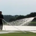 Candida Auris: Una minaccia globale oltre gli USA