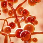 Le Nazioni Unite mettono in guardia contro l’uso “vampirico” globale dell’acqua.