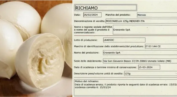 Mozzarella,Granarolo,Lidl,Data di scadenza,Microbiologia,Mozzarella Granarolo,mozzarella granarolo ritirata,lotto mozzarella ritirato dal commercio,lidl mozzarella scaduta,lidl mozzarella granarolo scadenza