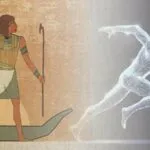 Il mistero sul perché il cervello umano si è rimpicciolito nel tempo