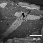 È un nuovo giorno a Green Bay